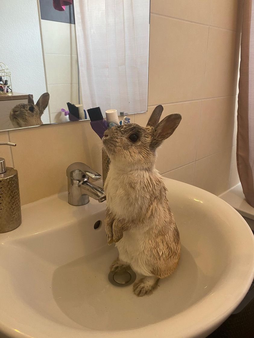 anaistweetpas's tweet photo. Jour de douche pour caprisun https://t.co/8PYA1w9KQK