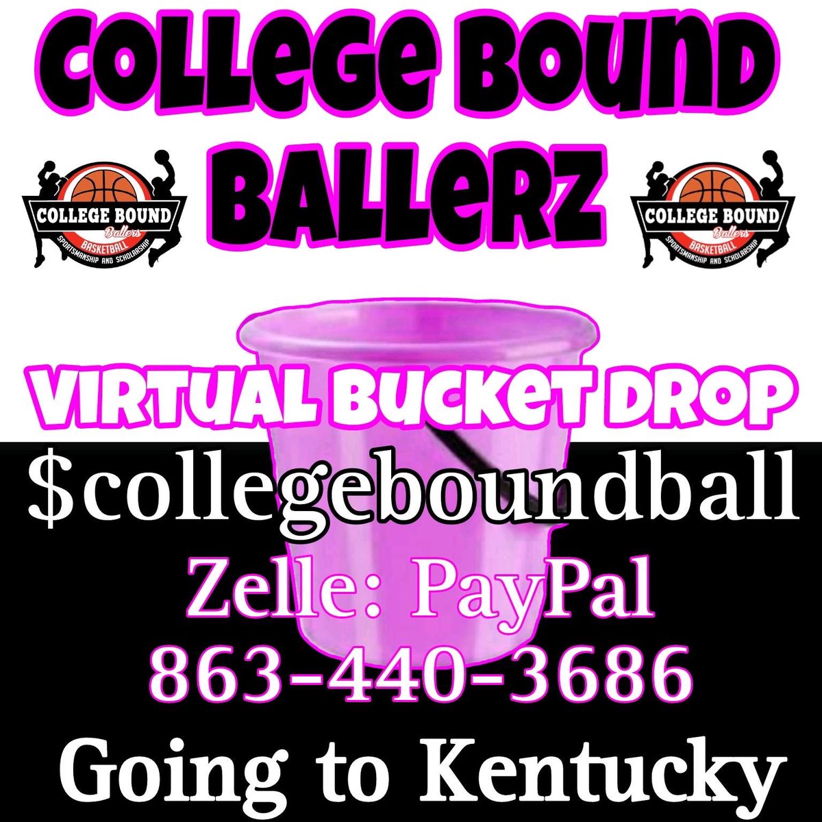 #donate #virtualbucketdrop #501c3
College Bound Ballerz