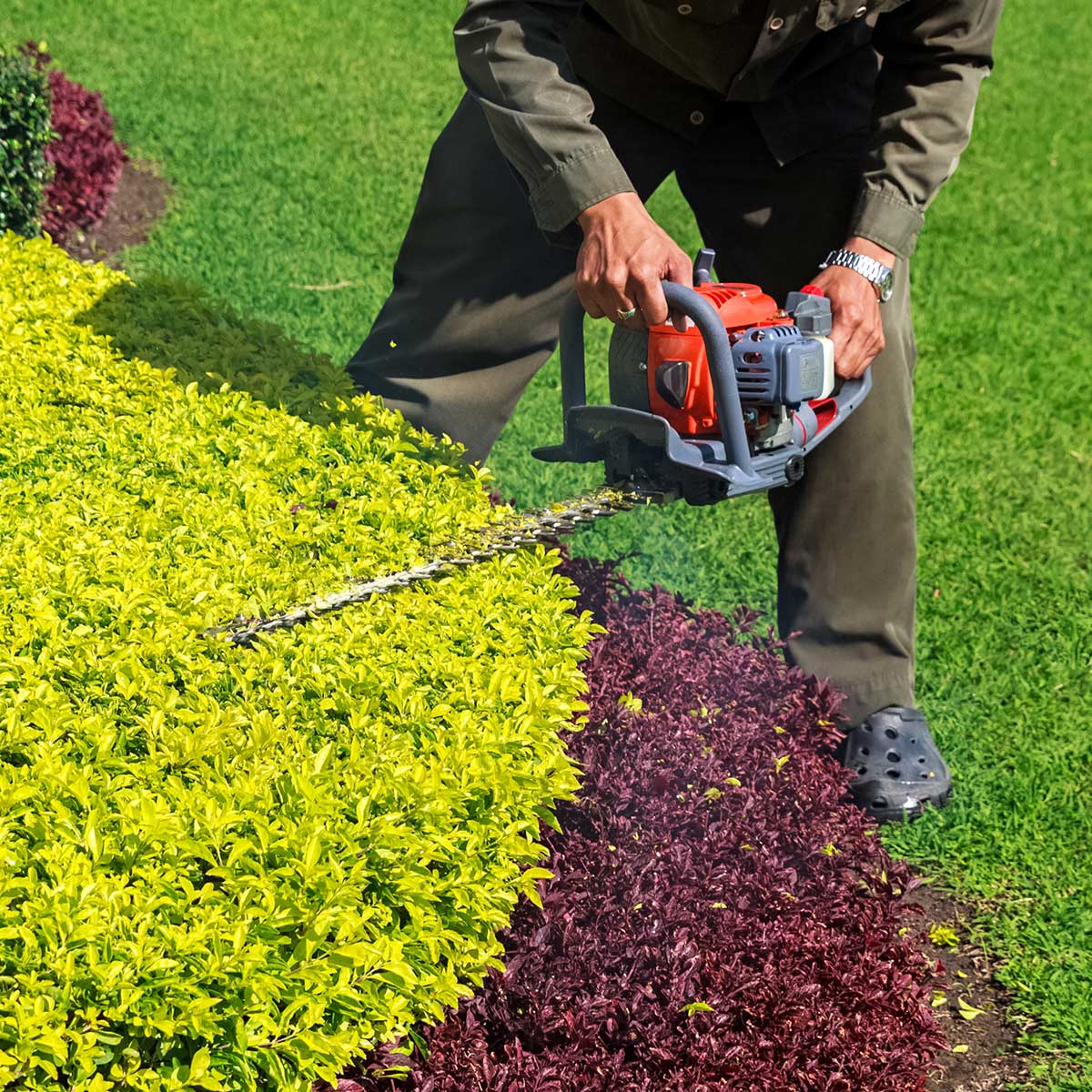 World Topiary Day May 14th, 2023 buff.ly/42Vo7nx