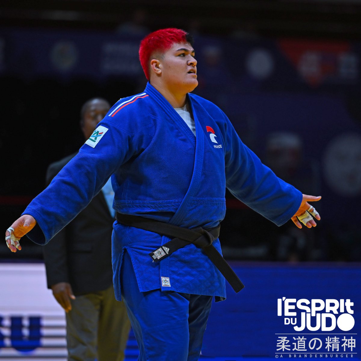 Un an après sa médaille de bronze acquise à Taskhent, <a href="/JTolofua/">Julia Tolofua</a>  (+78kg, <a href="/ESBMjudo/">ESBM Judo</a>  ) passe à l'argent après son revers contre la championne olympique Akira Sone . Sixième médaille pour l'équipe de <a href="/francejudo/">France Judo</a> , en attendant la septième à venir pour <a href="/teddyriner/">Teddy Riner</a>  #judoworlds