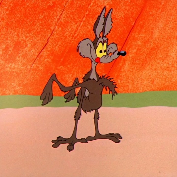 Wile E Coyote Running Off Cliff