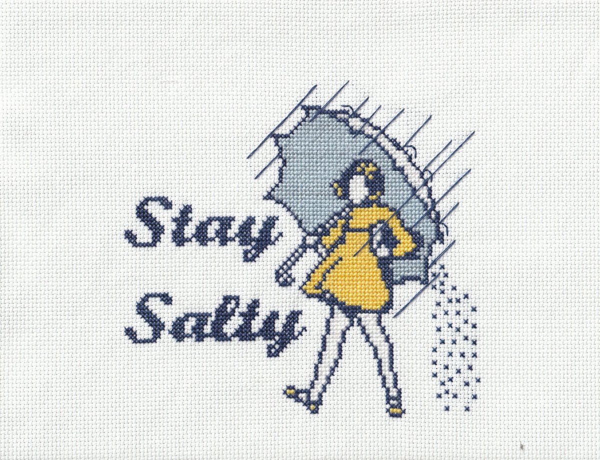 ☔️

More work you will find next weekend at AAW.

#newwork #nemaamn #rain #staysalty #crossstitch #crossstitching #crossstitcher #3drdcrafts #3drd #thirddaughterrestlessdaughter #embroidery #art #custom #craft #crafts #madeinmn #handmade #popculture #funny #haha #clever