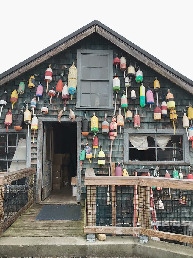 Normally we're #MDBlueCrab people, but today we've got a serious hankering for lobster rolls! 🦀🤤 Maybe it's the warm weather or the fact that it's Saturday, but we're ready to switch things up a bit. Who's with us? 😋  #CedarSiding #BarHarbor #Maine #LobsterRolls