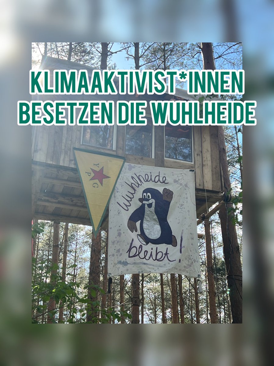 Klimaaktivist*innen besetzen grad die Wuhlheide und ich bin als parlamentarischer Beobachter vorort. Hier mein Statement:

ÖPNV ausbauen, statt Wälder abholzen! Solidarität mit der Besetzung in der Wuhlheide

Seit gestern Nacht haben mehrere Dutzend Menschen Teile der Wuhlheide