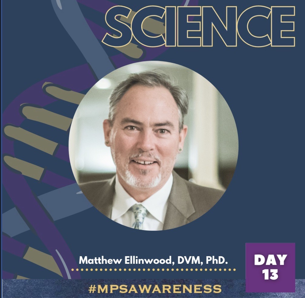 #MPSAwareness Day 13: Want to channel your inner nerd? 🤓 We have our own chief nerd, Matthew Ellinwood, DVM, Ph.D. who is our voice Learn more about the emerging treatment pharma companies & researchers are discovering that affect our community here mpssociety.org/learn/treatmen…