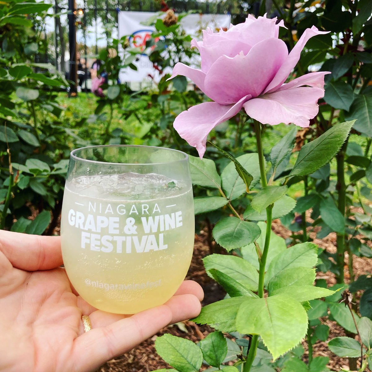Wine not try a wine-based cocktail? Stay tuned to find out which of our participating wineries will be offering these unique pairings for our Summer Discovery Pass program!

Still need to snag your Discovery Pass? Head to bit.ly/SummerSeriesDP to get yours now🥂