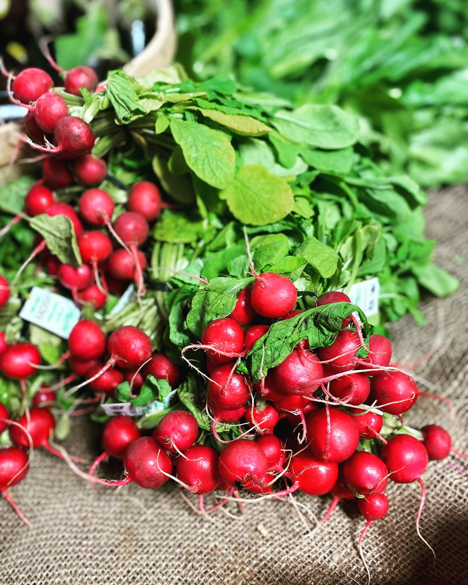 StLawrenceMkt's tweet image. Spring in full swing at the St. Lawrence Market Saturday Farmers Market #spring #veggies #springinfullswing