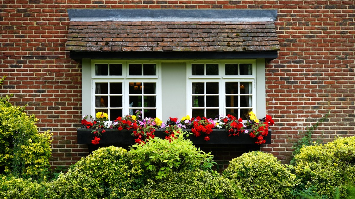 MJHumphries's tweet photo. A great way to add instant curb appeal to your home is to add colorful flowers to your garden!
 
https://t.co/2jpkYIlsld https://t.co/7u8HfeapMk