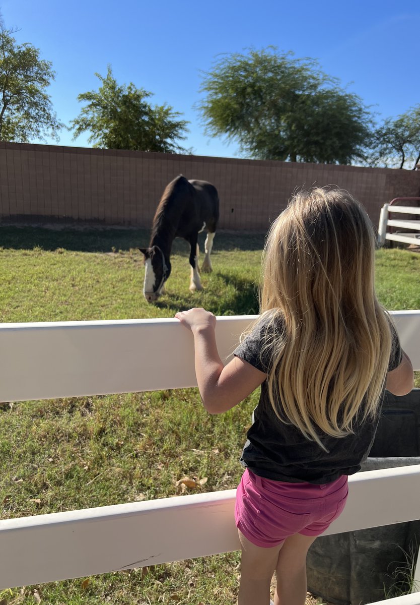 USACPF's tweet photo. One of our foundations purpose is to assure that our youth know about the Clydesdale breed their importance and history to our country. https://t.co/Lk1QfLXFJt