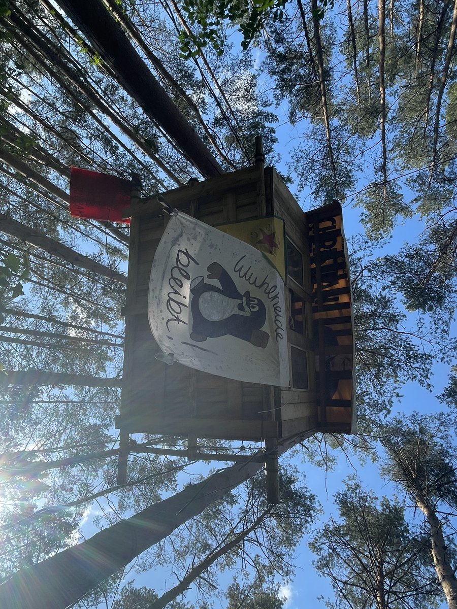 Happening now: Climate justice activists occupied parts of a forest in Berlin that is threatened by the construction of an express road named #TVO. The East Tangential Link - in German Tangentiale Verbindung Ost (TVO) - is a road project connecting the Eastern boroughs.

#b1305