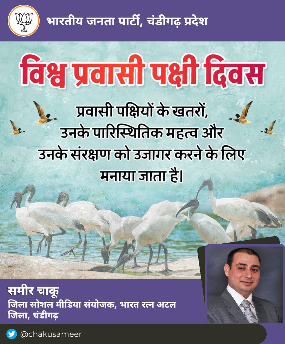 Today is International #MigratoryBirdDay 

Let's join together and preserve their migratory environment for thier conservation.
