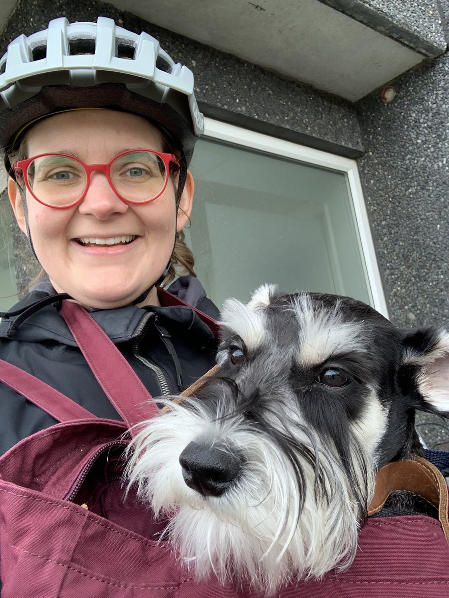 Vera pera (@knutsdottir) on Twitter photo 