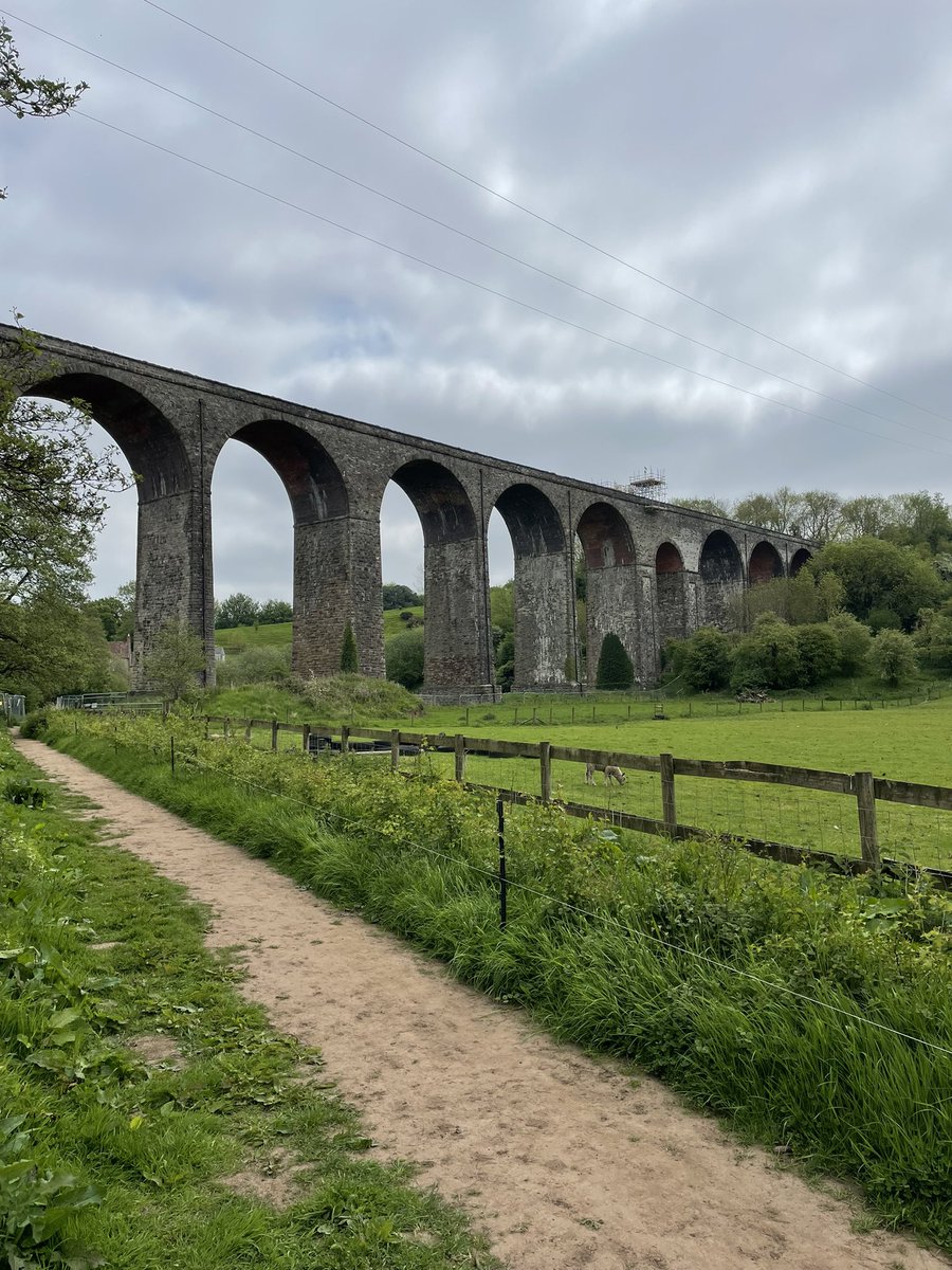 Bouncy Pork tweet media