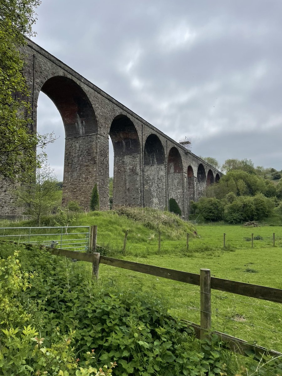 Bouncy Pork tweet media