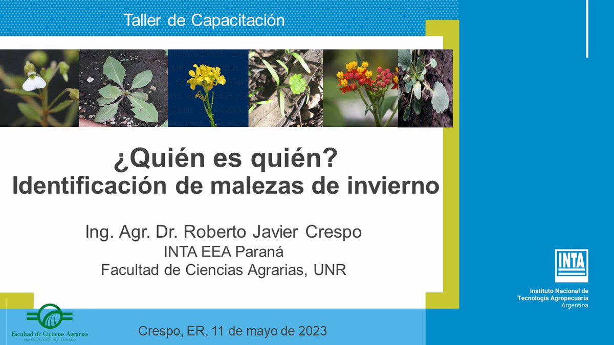 RobertoJCrespo1's tweet photo. Capacitando Técnicos, excelente charla e intercambio sobre #ManejodeMalezas y utilización de #cultivosdeservicio. Junto a Mirta Kahl y Enrique Behr de la AER Crespo. Gracias a La Agrícola Regional Coop. Ltd. Con la experiencia que traemos de @agrariasunr  @INTA_ER https://t.co/DEcHUm7dNq