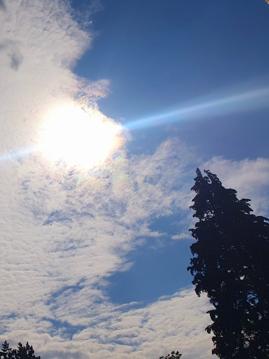 Freiburg-St.Georgen tweet media