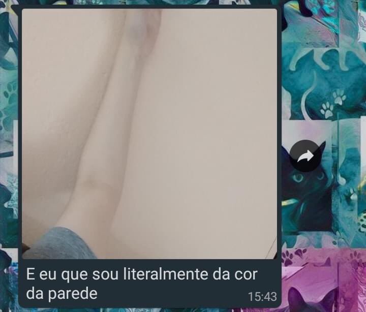 exercite o cérebro e fortaleça as ideias (@diojorange) on Twitter photo 