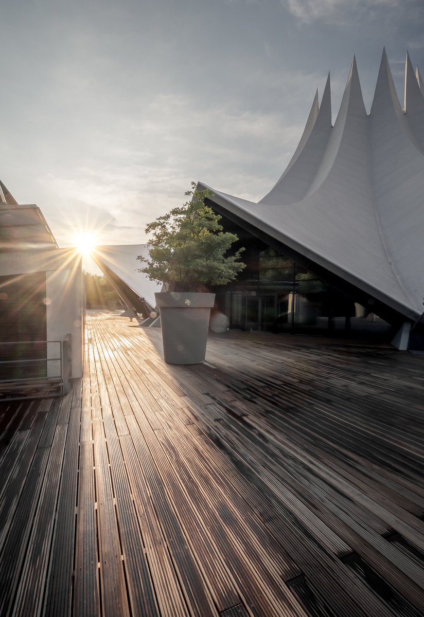 Mulinarius tweet media