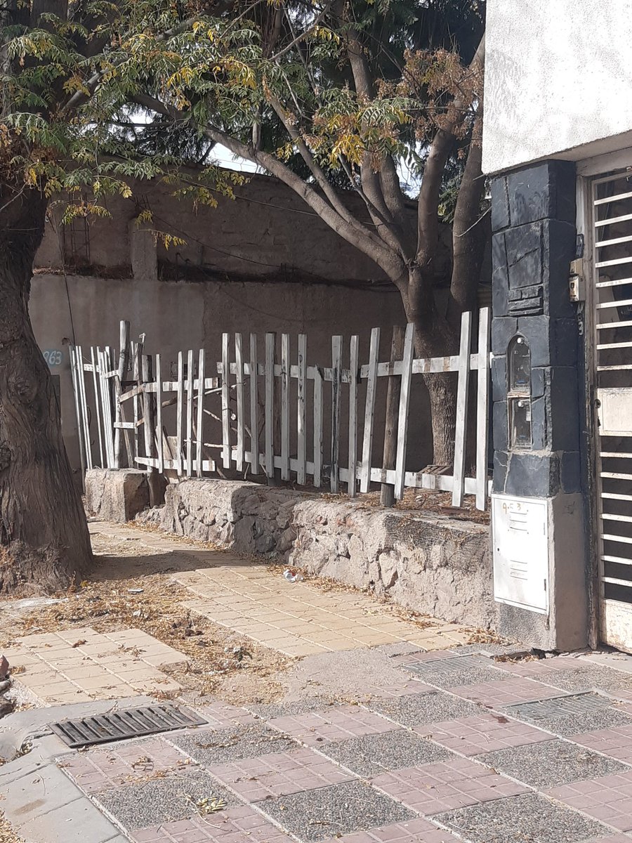 PatoGorriMza's tweet image. @MuniGuaymallen @MIglesias2019 la mugre de #dorrego #guaymallen no nos deja abrir ventanas, limpiar veŕedas. Gatos muertos hace 5 días, escombros. No nos atiende telefono