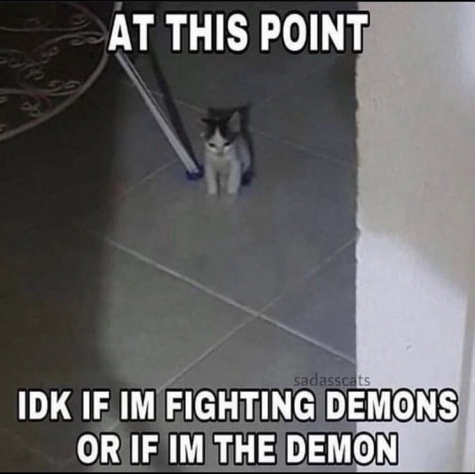 literallymecats's tweet image. 