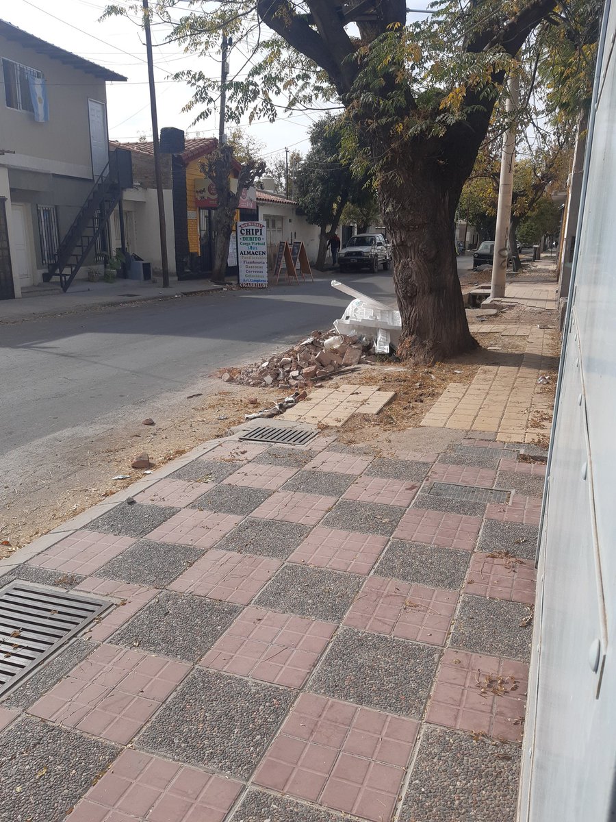 PatoGorriMza's tweet image. Gatos muertos,mugre que más? Nadie nos atiende de lunes a viernes ni sábado. #Dorrego @MuniGuaymallen @MIglesias2019 . Estamos cansados de tanta mugre y el maltrato animal