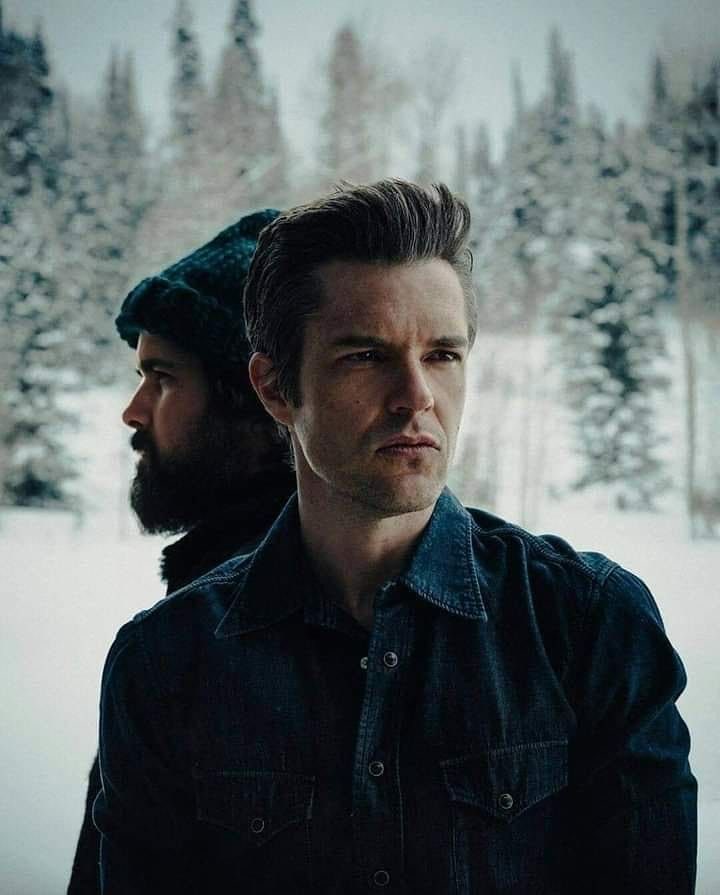 Brandon Flowers daily on Twitter