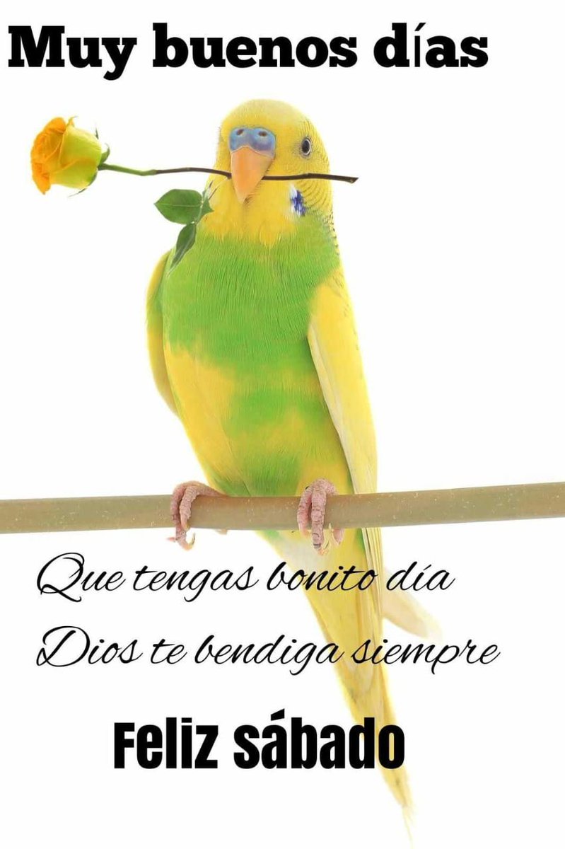 Flor Gaucín (@florgaucin76) on Twitter photo 