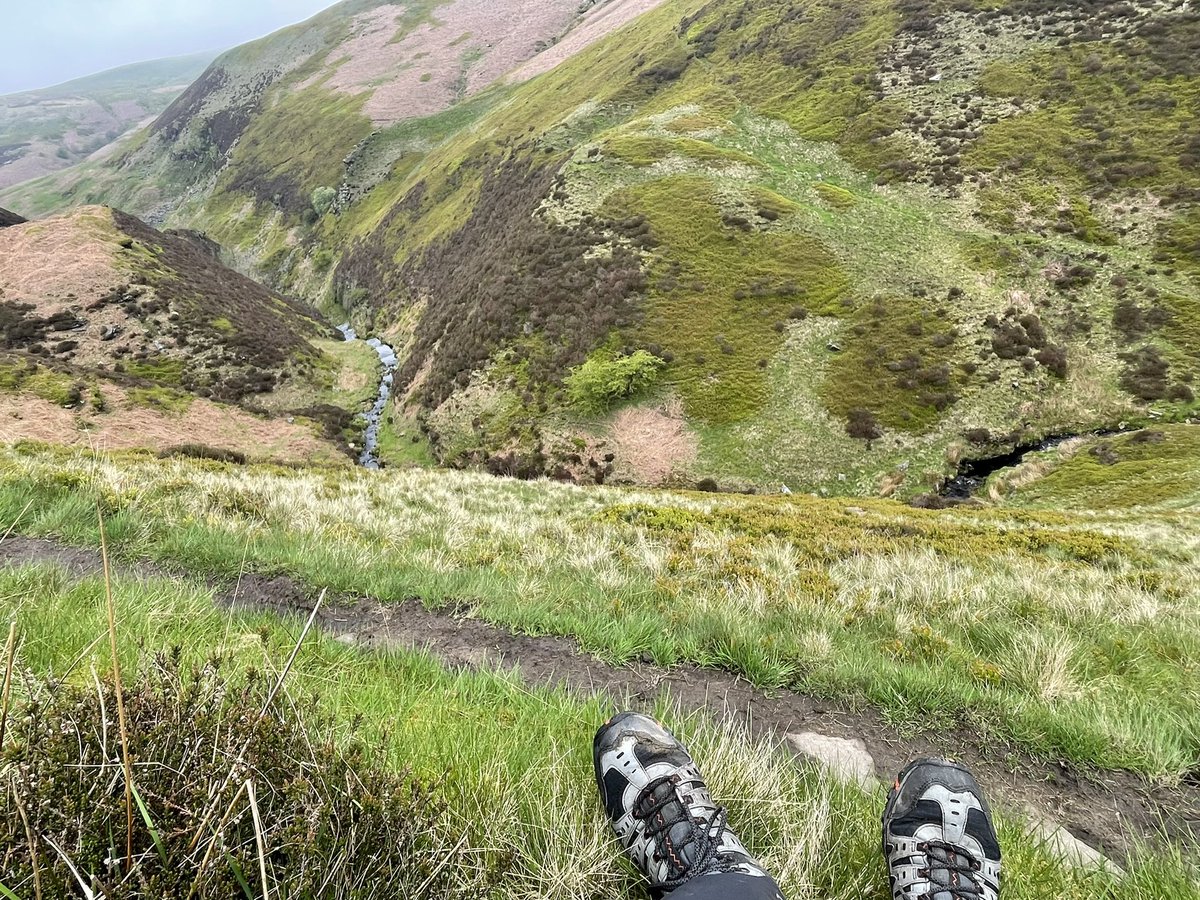 NorthleesBill's tweet image. The peace of Abbey Brook - watching Ring Ouzels @PeakDistrictNT @peakdistrict @cprepdsy