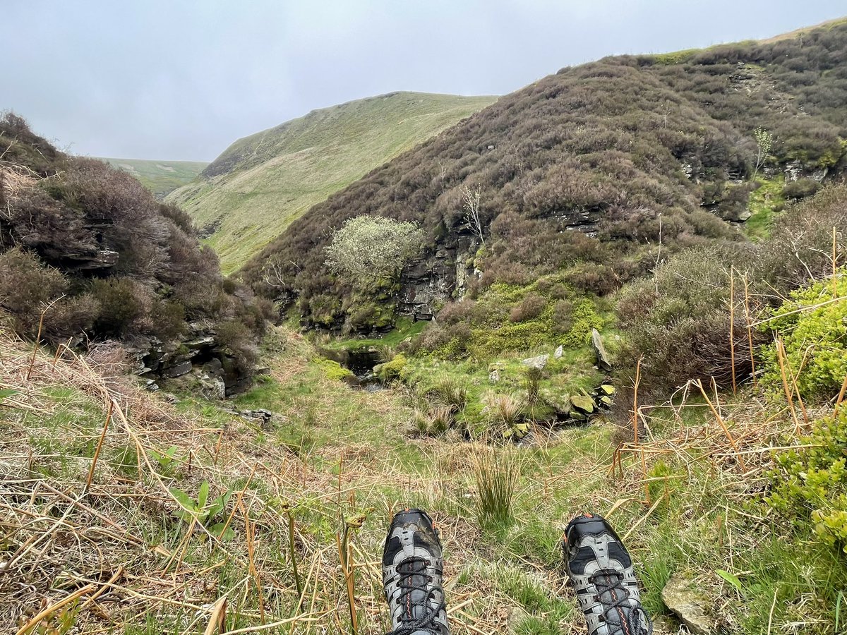 NorthleesBill's tweet image. The peace of Abbey Brook - watching Ring Ouzels @PeakDistrictNT @peakdistrict @cprepdsy