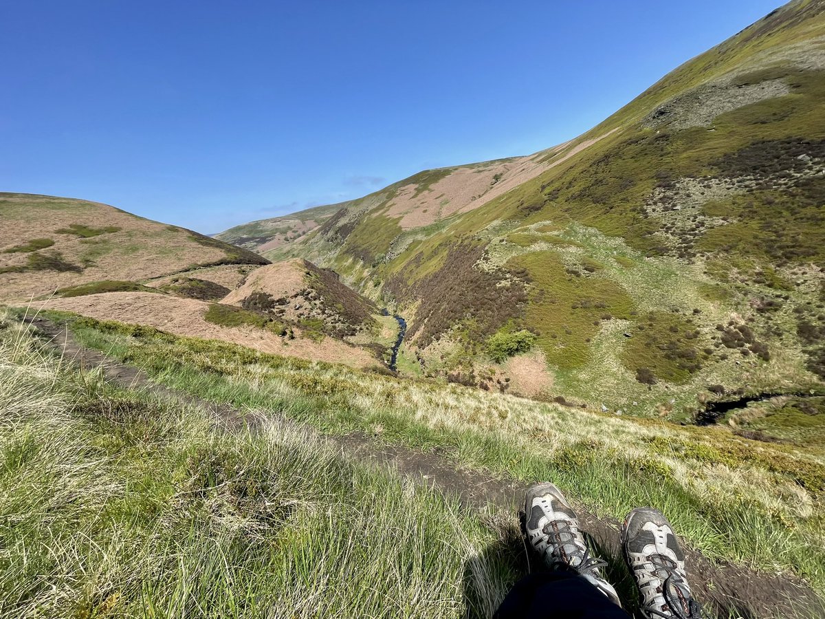 NorthleesBill's tweet image. The peace of Abbey Brook - watching Ring Ouzels @PeakDistrictNT @peakdistrict @cprepdsy