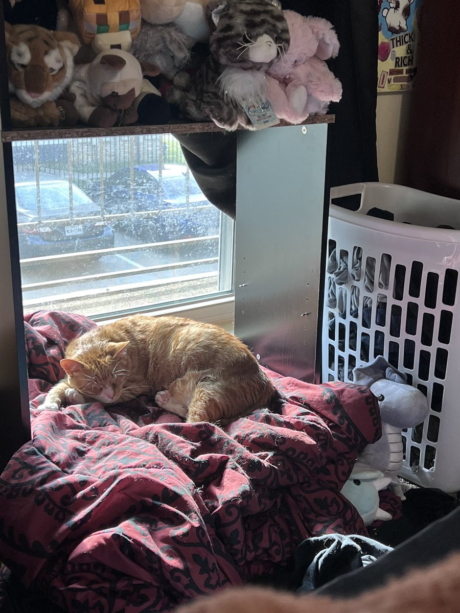 AdriansBackpack's tweet image. my children