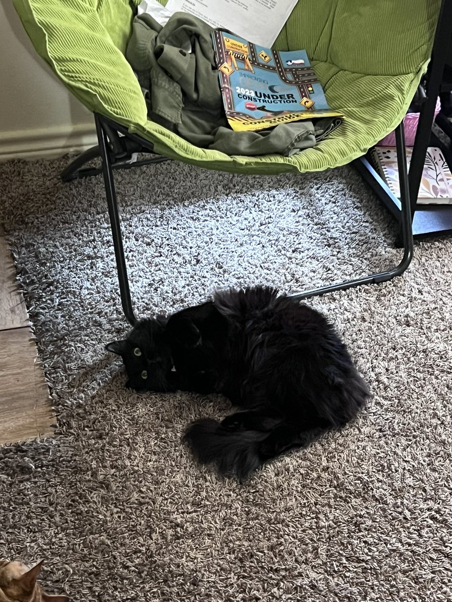 AdriansBackpack's tweet image. my children