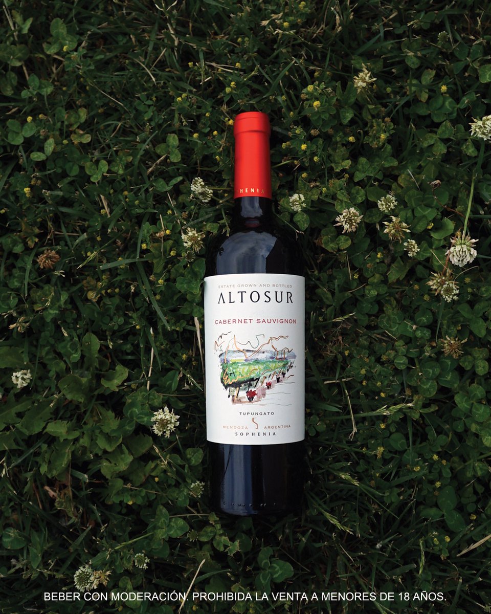 altosurwines's tweet photo. La época perfecta para disfrutar de nuestro Altosur Cabernet Sauvignon: al ser de viñedos de altura y clima frío, resalta por su intensidad y expresión, sin perder la armonía y elegancia características de nuestra bodega. https://t.co/vlhcQXyMz9