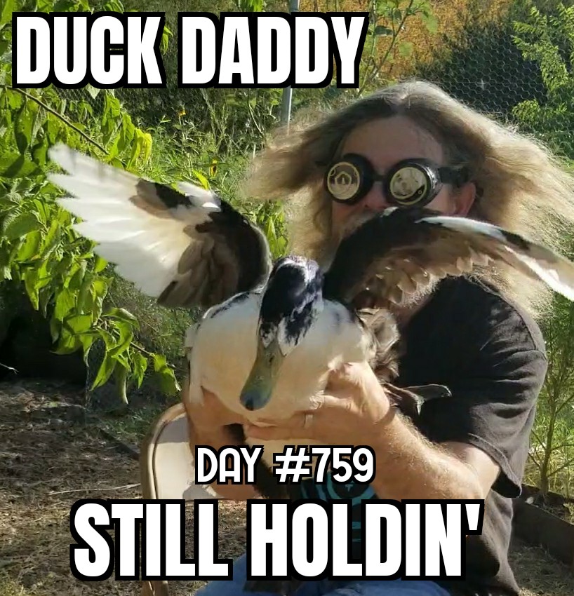 RipVanWizard's tweet photo. Happy Late Saturday Morning Everyone! 😃🦆
Relax, Refresh, Enjoy!
#SAFEMOON
#TEAMYOLO
#LIVEYOURDREAM
#GROVE
#BBTF
#CRYFT
#SWAPTC
#MPROTOCOL
#METAMERCE
#GLOW
#LCP
#RHYTHM
#IMRTL
#PAWTH
#FND
#SHIDO
#ONE_PLACE
#LUTION
#REVOLTANCE
#HIGHSEASPIRATES
#FAMO
#GFAM
#STEAKDTX
#NOOT https://t.co/4ztz8uS3Ns