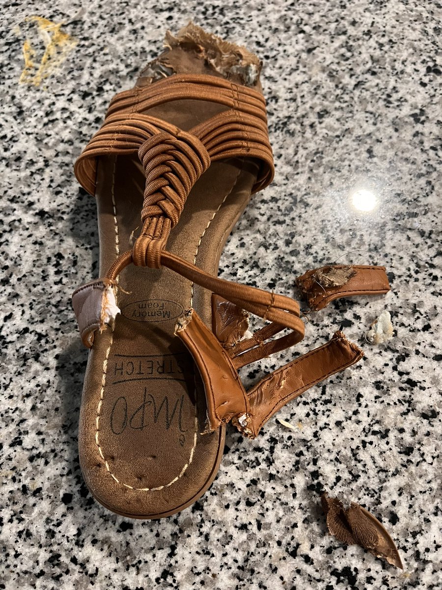 lfcoffee's tweet image. Finn is in his Reputation Era. #IDidSomethingBad #LookWhatYouMadeMeDo