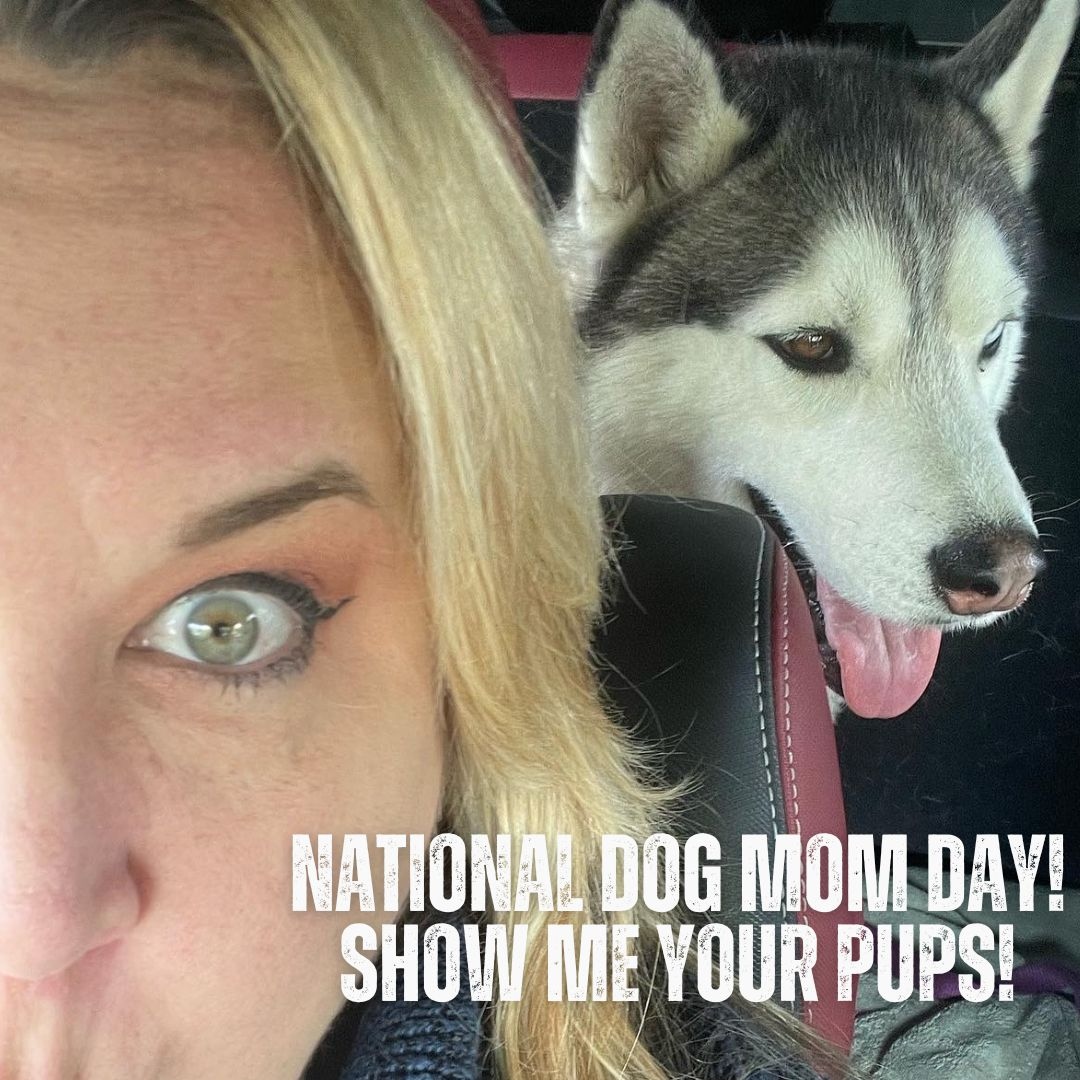 Cheers to all the late-night walks, snuggles on the couch, and fun adventures with my furry sidekick. Happy National Dog Mom Day! Let's see your Pups all you dog moms and dads. #NationalDogMomDay #DogMomLife #ProudDogMom #KayleneWinter #LTZseries #LTZworld author.to/Facebook