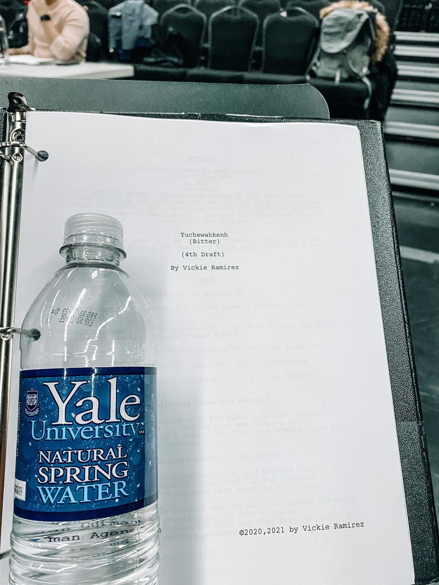 TanisParenteau's tweet image. @Yale Indigenous Performing Arts Program for @emanuellemarie’s Yuchewahkenh and seen a Métis flag on the wall, which means there’s a Métis student at Yale somewhere! Lookit all these flags! @yalenatives ♾️🪶 #métis #yale #yipap #yalenatives