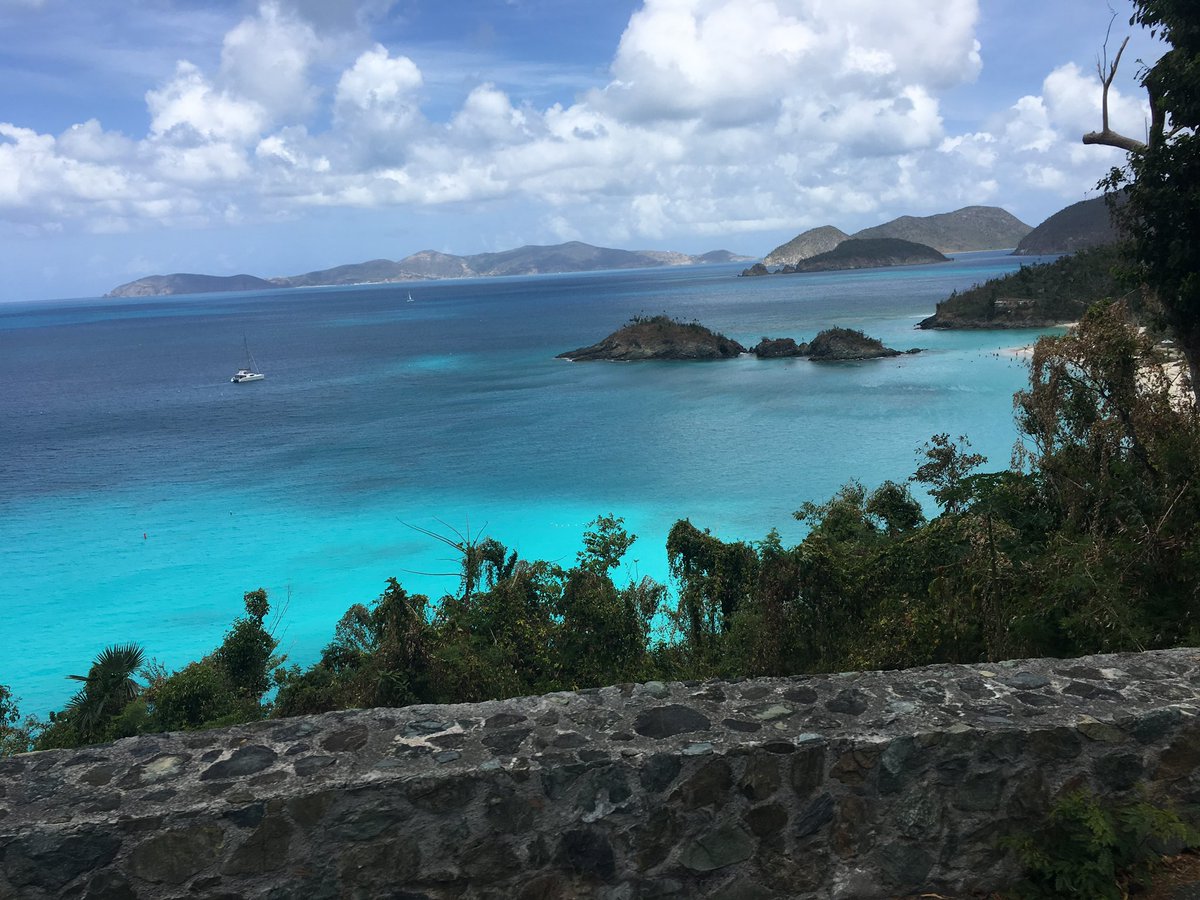 CruzinParadise's tweet photo. When the email comes that your Medallions have been Shipped! #Boom #GreenLane 19 days 2 Hours and 10 Minutes! #Hawaii #Cruise #Elite #ComeBackNew #EscapeCompletely #WeLoveThisShip @PrincessCruises #BonVoyage https://t.co/j3clgWLPt7