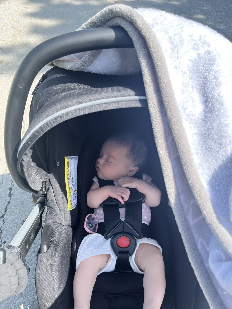 lafollettegm's tweet photo. My new walking buddy ❤️ https://t.co/fQeboefB8d