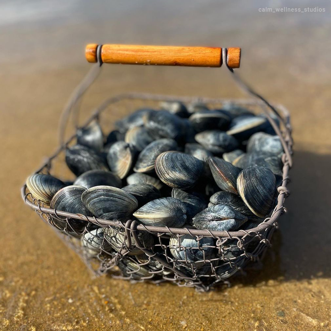 BlockIsleFerry's tweet photo. Looking to make stuffies but want to source the seafood yourself? Get a crash course in quahogging in today’s blog! https://t.co/cHYJFpBusG
#Quahog #FishRI #ClamDigging #BlockIsland #SailAway #BlockIslandFerry https://t.co/7udlWR6rdu
