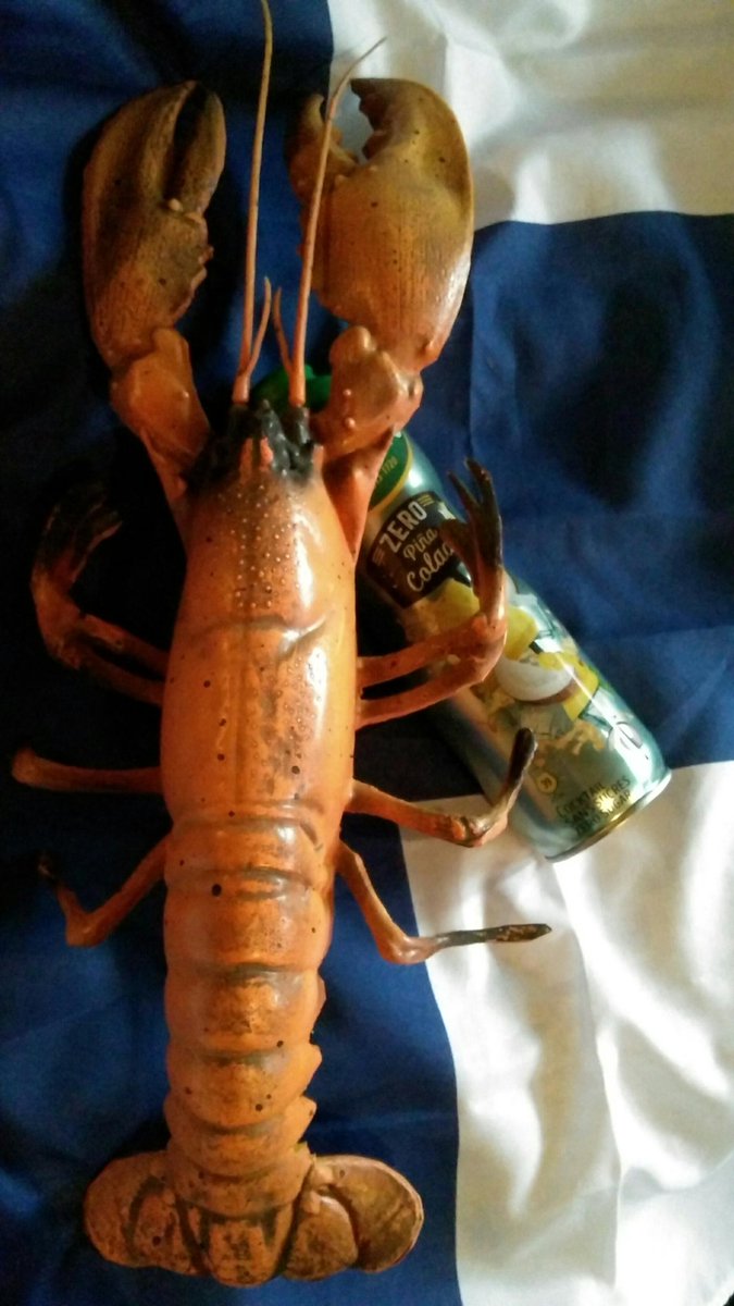 Gelis_Egidia's tweet photo. Ready for Eurovision
#Eurovision2023 
My special guest brought their favourite drink 😂

(Who would have thought that the fun gift I received ages ago is perfect for tonight.)

I still need a name for my lobster 🦞 
#LukeBlack #samomisespava https://t.co/ViEfUUb1Lp