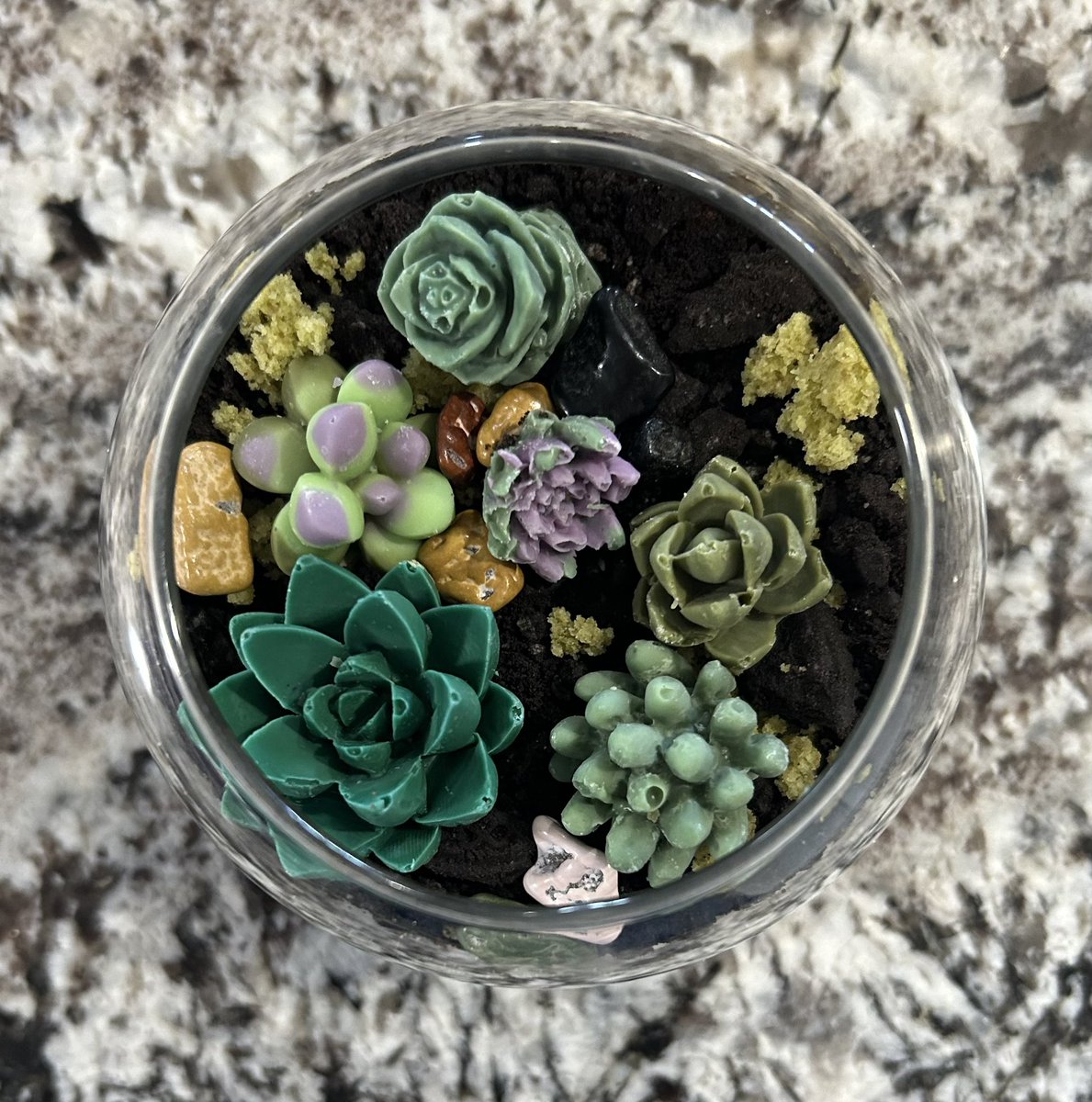 DucatiEmily's tweet photo. Super spoiled this Mother’s Day weekend. Roomie made me and the kidlets breakfast, and girlfriend brought me an edible succulent terrarium. Going to go buy myself (and the house) some flowers and pots and color up this home 💗 https://t.co/fDOJVIsnGz