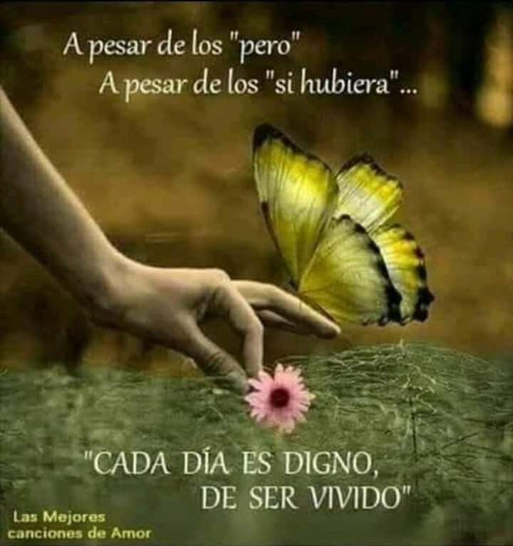 Empecemos con optimismo y alegría este día 😊