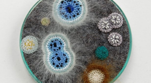 JohnInnesCentre's tweet photo. EVENT - Young Microbiologists Symposium 2023

Applications are now OPEN for early career post-docs &amp; outstanding PhD students working on any exciting aspect of bacterial microbiology 

When - 18 - 19 September 2023
Deadline - 12 June 2023
For more info: https://t.co/c1Kyzjo8bP https://t.co/CCMOl0EuMl