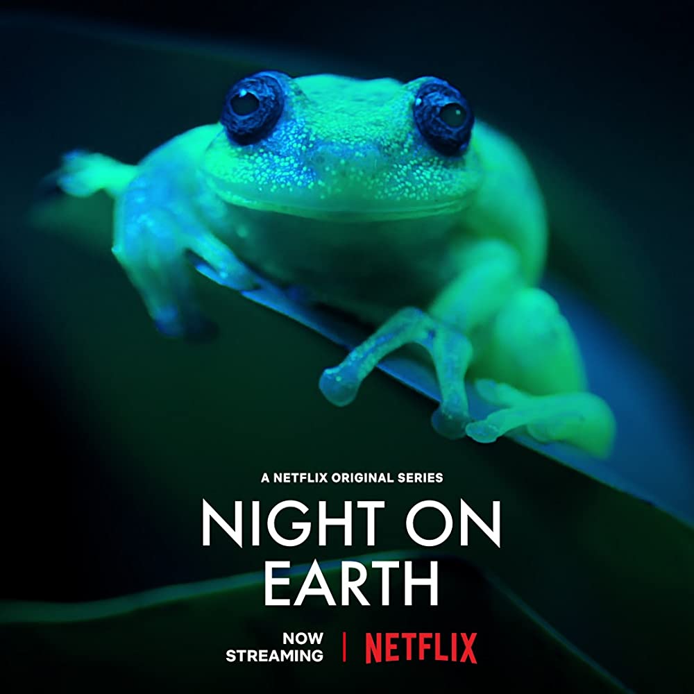 onetreeplanted's tweet photo. Nature documentaries make you happier 🌎🌱
#NatureDocumentaries trigger the release of neurochemicals involved in feelings of happiness, reducing the stress and anxieties of modern life 🍿🌱
Tonight's selection is..."Night on Earth" https://t.co/IvXwigo6W0