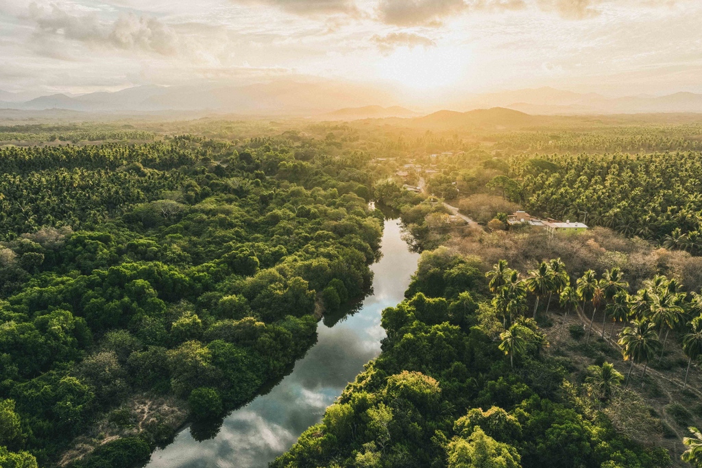 HowlerBros's tweet photo. // BUENAS // Aerial pixels of the beautiful Saladita wrangled during Mexi Log Fest by Howler amigos Trevor Camp and Alex Patrick

HEED THE CALL

#mexilogfest
#buenas
#goingleft
#bloop
#mexicoeschingon
#surfing
#howlerbros
#heedthecall https://t.co/e2eDtvfrD1