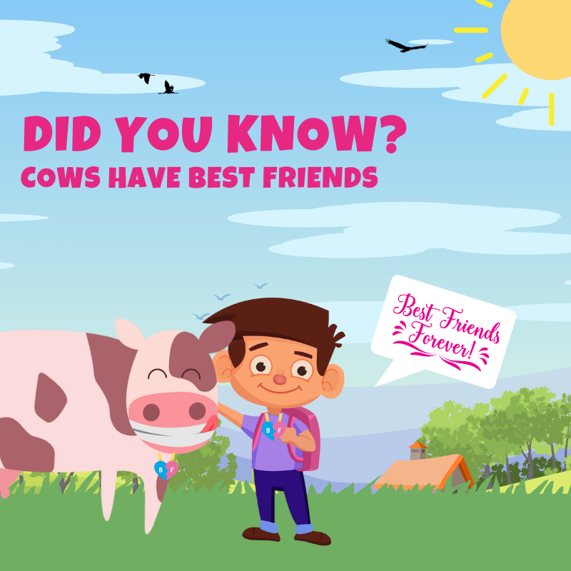 bumps_bottom's tweet photo. Would you be a cow's best friend? 🐮🐄

#BottomBumps #EddieAndTheBumps #Cows #CowFact #Rhyming #FactsforKids #InterestingFact #MobileGame🤠 https://t.co/es5W3JUCGn