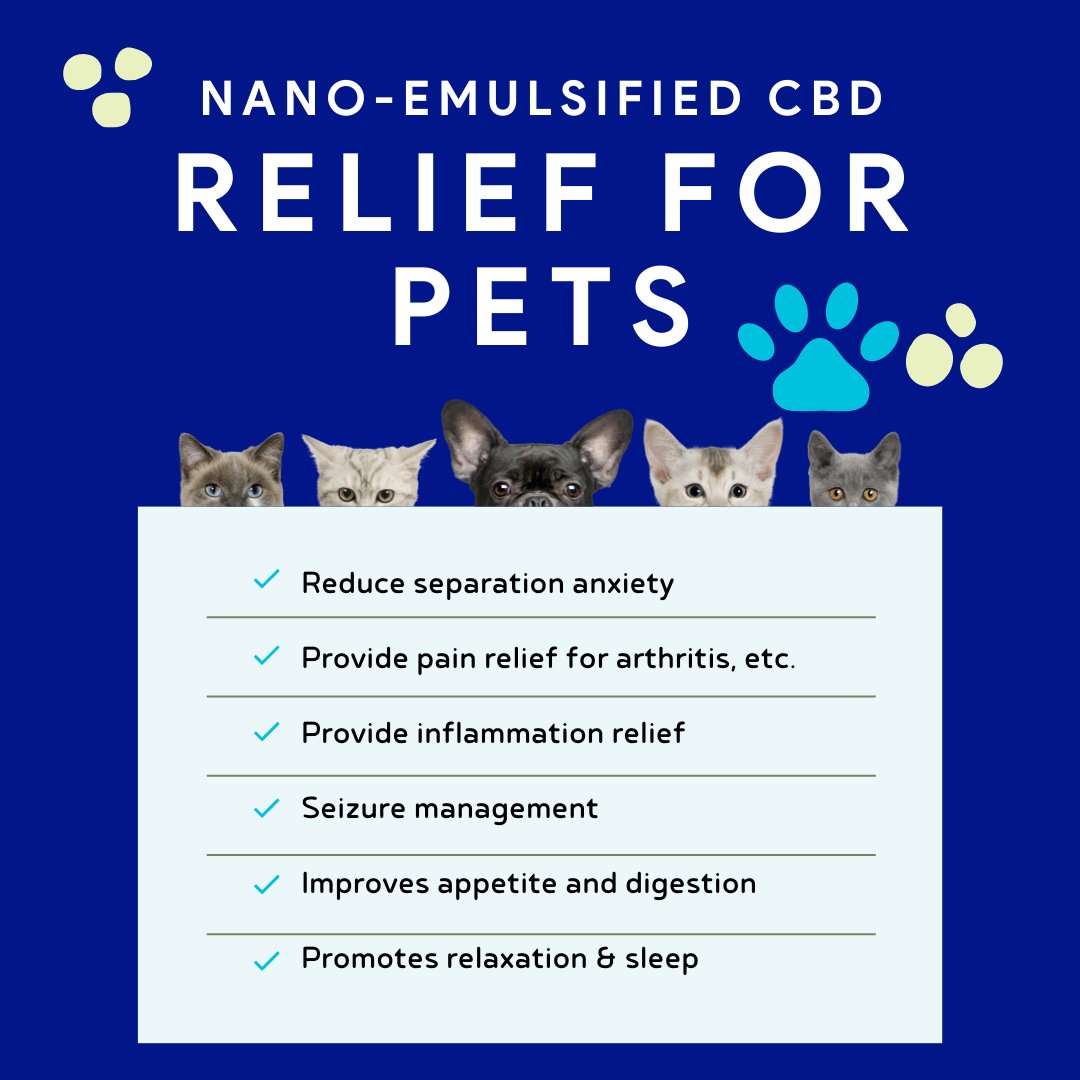 Discovering a natural secret that has transformed my furry friend's life 🐾✨ CBD has worked wonders, offering a world of relief and happiness. 🌟 #CBDforPets #NaturalWellness #HappyPets