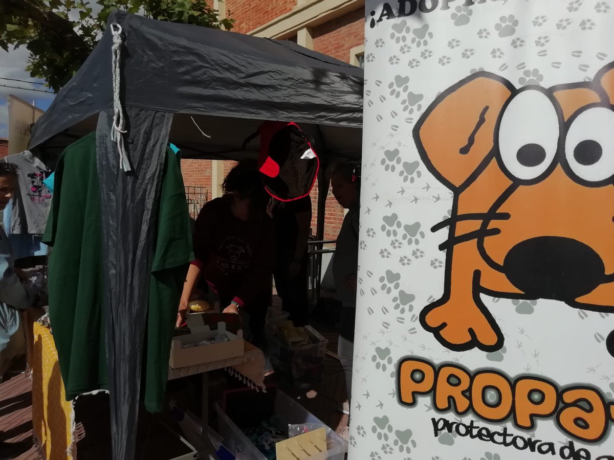 AV San Pedro Regalado - Los Viveros tweet media