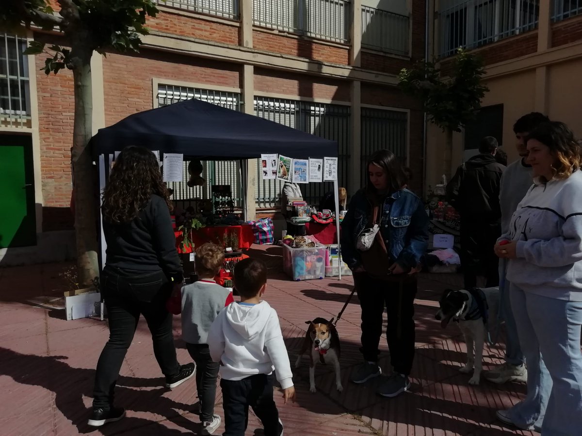 AV San Pedro Regalado - Los Viveros tweet media